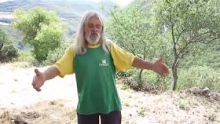 Pietro come vivere da soli nella natura e in pace con il mondo HD httpsyoutube3yD8irQ8vM [upl. by Liam795]