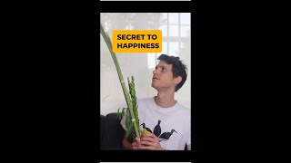 The Surprising Jewish Secret to Happiness SUKKOT Lulav amp Etrog [upl. by Darren]