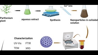 Plant Mediated One pot Synthesis of Copper Oxide Nanoparticles [upl. by Yzdnil238]