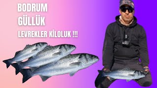 LEVREKLER KİLOLUK [upl. by Terrag]