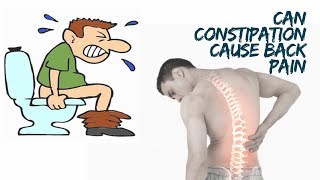 CAN CONSTIPATION CAUSE BACK PAIN [upl. by Akeenahs]