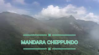 MANDARA CHEPPUNDO Instrumental [upl. by Lambert]