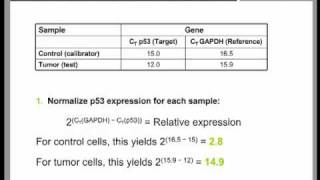 Real Time QPCR Data Analysis Tutorial part 2 [upl. by Afihtan]