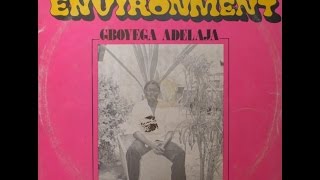 AfroFunk Gboyega Adelaja ‎ Colourful Environment [upl. by Lysander]