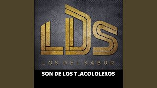 Son de los Tlacololeros [upl. by Hara]