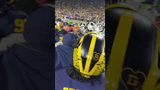 Michigan players react after team beats MSU fight breaks out on field [upl. by Ahseenal]