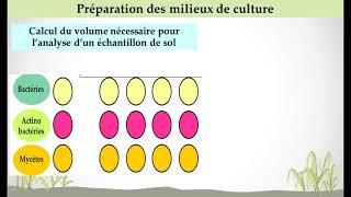 TP 1 Microbiologie du sol pour lst BioP [upl. by Eolcin938]