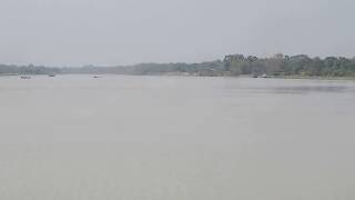 Gangetic River Dolphin surfacing near Bagnan Howrah [upl. by Cleodell]