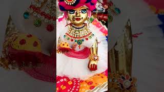 Aarti kunj bihari kiradhakrishna kunjbihari love krishna bhakti shorts youtubeshorts kanha [upl. by Gnidleif]