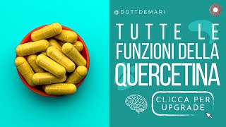 Quercetina tutte le funzioni [upl. by Seldon]