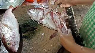 snappervelameen fish cutting skills plzsubscribemychannel fullvideowatch [upl. by Guidotti]