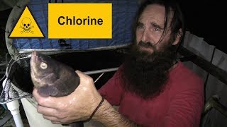 Using Chlorinated Tap Water in Aquaponics  Fish Harvest [upl. by Hsirap859]