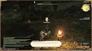 Final Fantasy XIV A Realm Reborn  Conjurer Lv15 Quest  Trial by Water [upl. by Enigroeg]