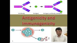 SET NET LIFE SCIENCES Antigenicity and Immunogenicity [upl. by Myriam724]