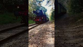 Steam engine sound on 🔊🔊 train [upl. by Suzann]