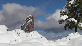 Snow at the Lone Pine Tree [upl. by Jaan]