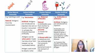 Chapter 112a  Immunity and Vaccination  Cambridge ALevel 9700 Biology [upl. by Mareah]