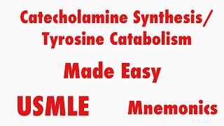 Catecholamine Synthesis Tyrosine Catabolism USMLE Mnemonics [upl. by Huggins953]