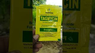 Streptomycin sulphate tetracycline hydrochloride 9010 tagmycin tropical agro antibiotic shorts [upl. by Bondie]