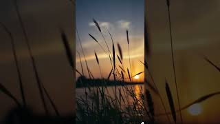 Ei obelay tomari akashe songshironamhin status sunset view nature shorts song music [upl. by Maurizia]