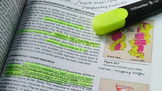 Chapter 30 LippincottDNA StructureGenetics BiochemistryPart 2👈 [upl. by Patrich]