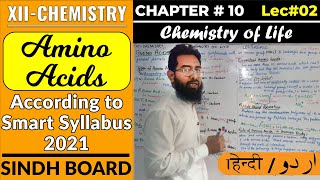 104 Amino Acids in UrduHindi  CH10  Chemistry of Life  XIIChemistry  Sindh Board [upl. by Fidele407]