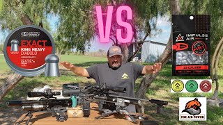 AEA CHALLENGER PRO 25 PELLETS VS SLUGS JSB 3395 GR IMPULSE AIR 26 GR amp ARKEN OPTICS HS4 624X50 [upl. by Neliak]