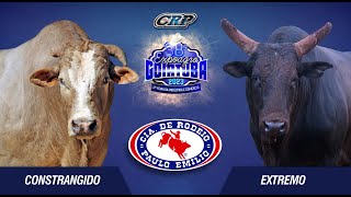 RODEIO AO VIVO  Expo GOIATUBA 2023 S0RTEI0  Round 1 [upl. by Trauner]