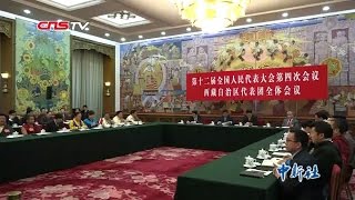 白玛赤林：达赖想和谈必须放弃西藏独立（来源：中国新闻网） [upl. by Esilec502]