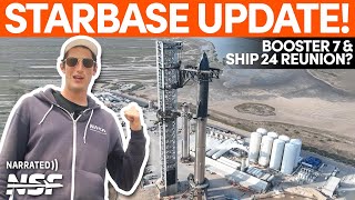 Starship 24 amp Booster 7 Ready for Stacking SpaceX Starbase Update [upl. by Statis]