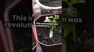 uncovering plant evolution [upl. by Ecirtram]