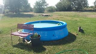 Intex 10x30 Swimming Pool Beat the Heat This Summer [upl. by Rimaj]