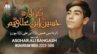 Pashto Noha 2023  Karbala Za Hussain Ibn e Ali Yam  Asghar Ali Bangash  2023  1445 [upl. by Anstus]