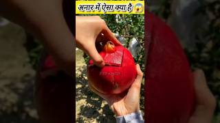 Anar khane ka fayda Anar khane ke besh maar fayde🤔🤫😱✅ Shorts viral [upl. by Yelrihs868]