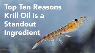 WEBINAR Top Ten Reasons Krill Oil is a Standout Supplement Ingredient [upl. by Eldredge]