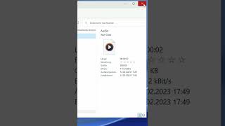 Windows DateiExplorer Details anzeigen Detailbereich  shorts [upl. by Siuraj74]