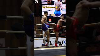 Top Techniques Top Champions 🏆 Muay Thai [upl. by Tiraj838]