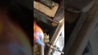 LPG GAS STOVE CHECK ✔️gas stove experement shortsfeed shots shortvideo [upl. by Cogen]