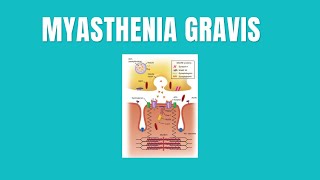 Myasthenia Gravis [upl. by Eislel]