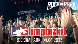 LIMP BIZKIT  Live at ROCK IM PARK 04062023  Pit Cam [upl. by Irrej168]