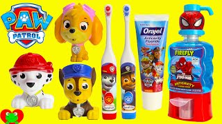 Paw Patrol Brush Teeth Surprises Shopkins Season 6 [upl. by Ahsikat]