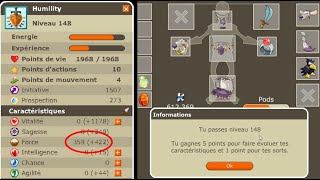 LAVENTURE DOFUS RETRO MONOCOMPTE 38  PARCHO 101  STUFF [upl. by Nauqes]