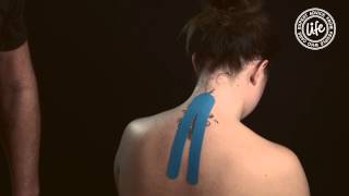 Life Kinesiology Tape Nacke [upl. by Annaor746]