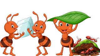 quotMarching Ants Song  Fun Ant Song for Kidsquot [upl. by Nylynnej493]