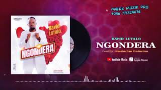 David Lutalo  Ngondera Official Music Audio 2024 [upl. by Filomena390]