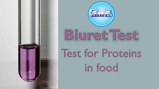 Protein amp Lipids Tests Biuret amp Emulsion Test  Alevel Biology  OCR AQA Edexcel [upl. by Zysk650]