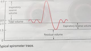 GCSE PE Lung volumes Spirometer trace [upl. by Anirazc234]