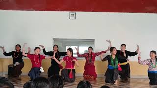 Choli Ramro Palpali Dhaka ko dance 💃 ♥️ 🎶 in school [upl. by Pippo]