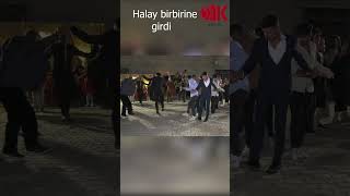 Aşkla halay çekiyor  Halay Başının Karizması dugun halay shortvideo öneçıkar govendakurdi [upl. by Babs]