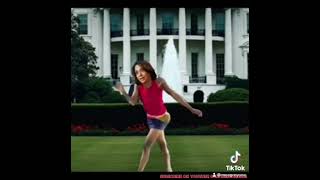 The White House Lawn Ornament [upl. by Braca]